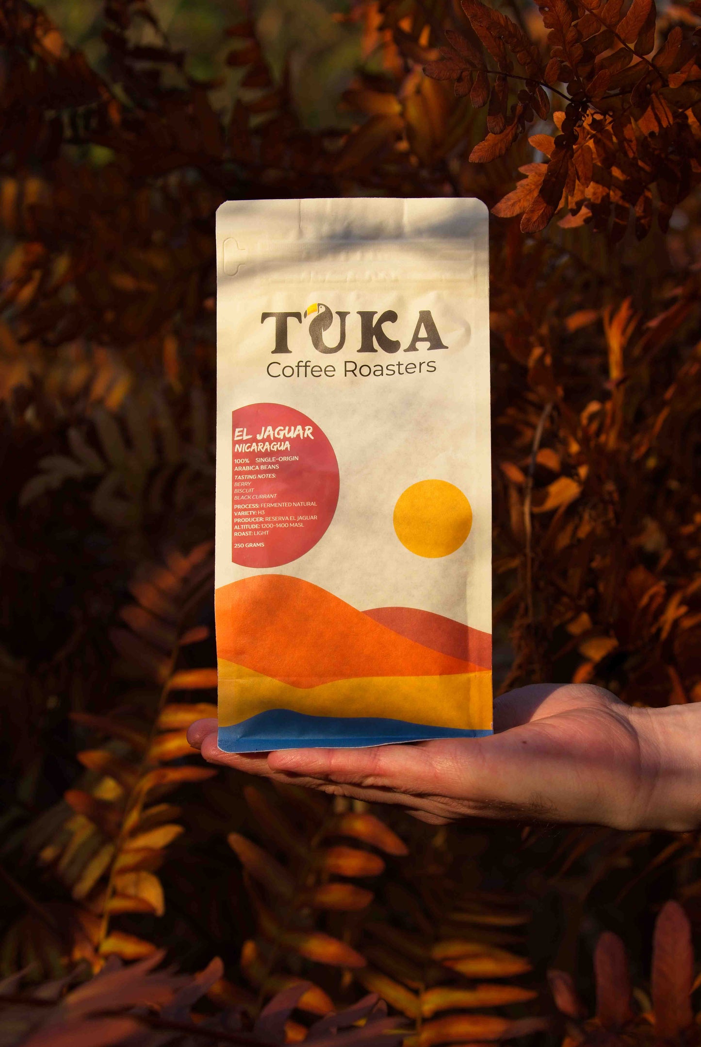 El Jaguar – Medium Light Roast Koffiebonen Nicaragua