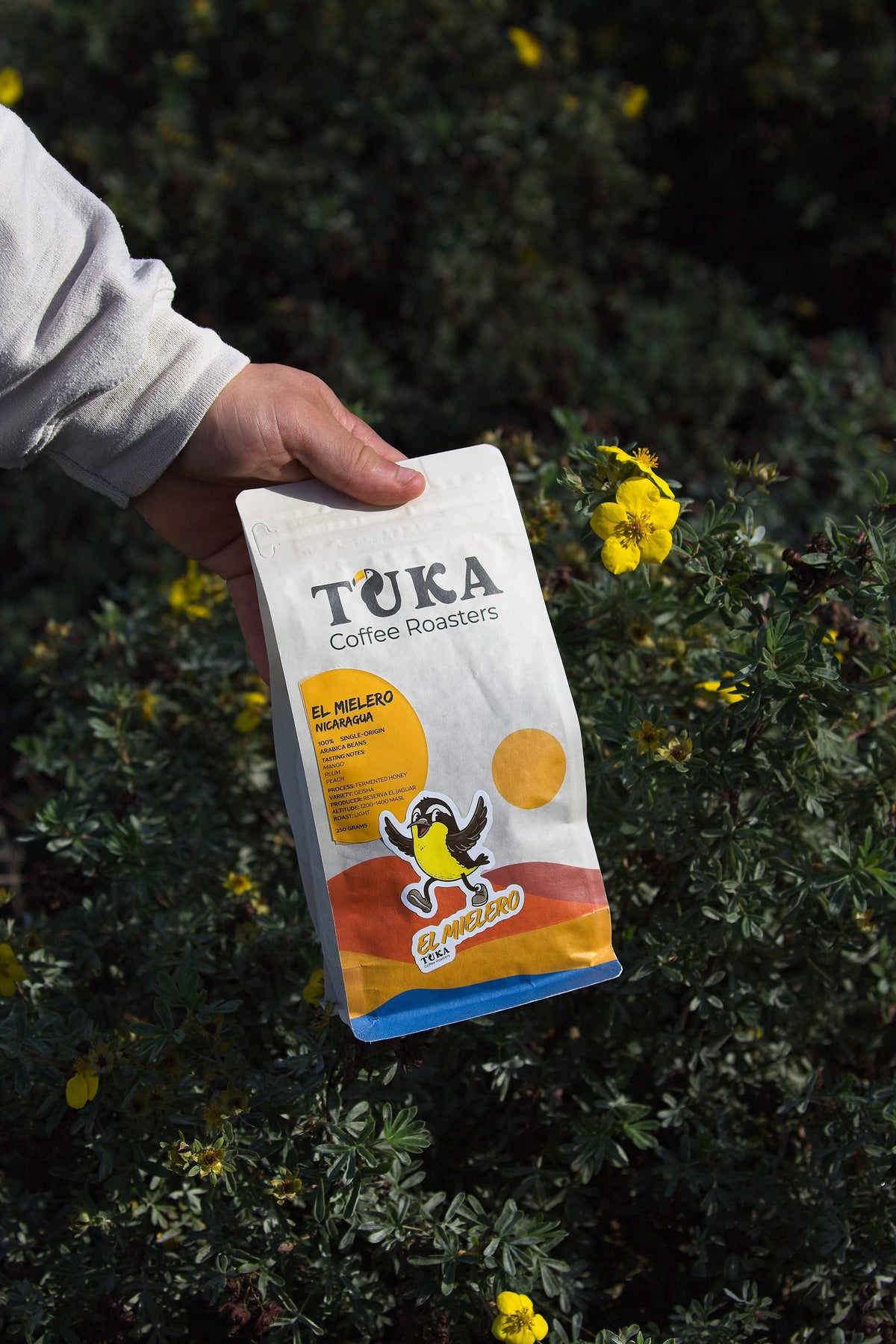 El Mielero – Light Roast Koffiebonen Nicaragua