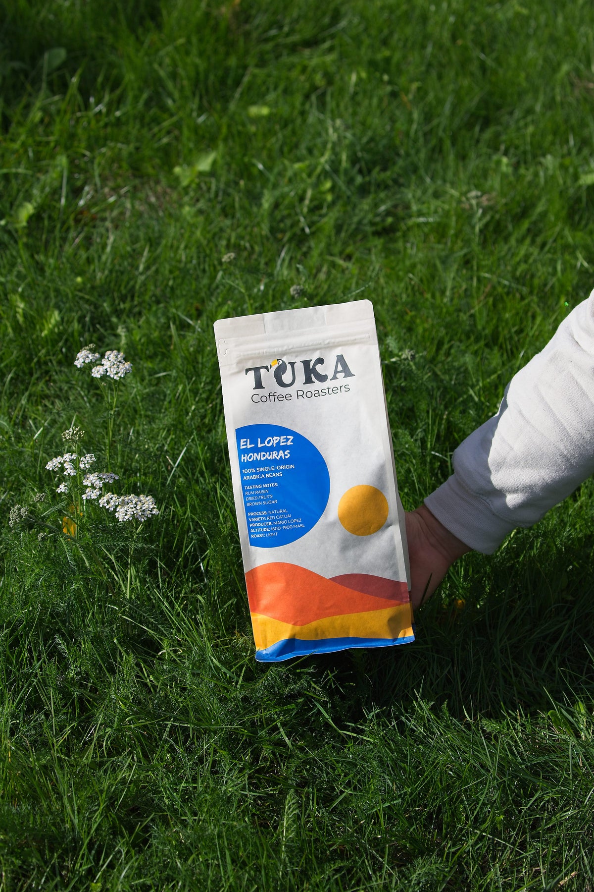El Lopez – Light Roast Coffee Beans Honduras