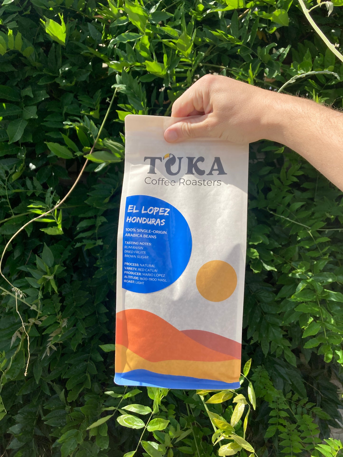 El Lopez – Light Roast Koffiebonen Honduras