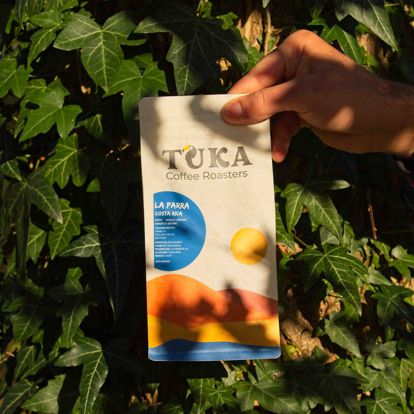 La Parra – Espresso Roast Coffee Beans Costa Rica