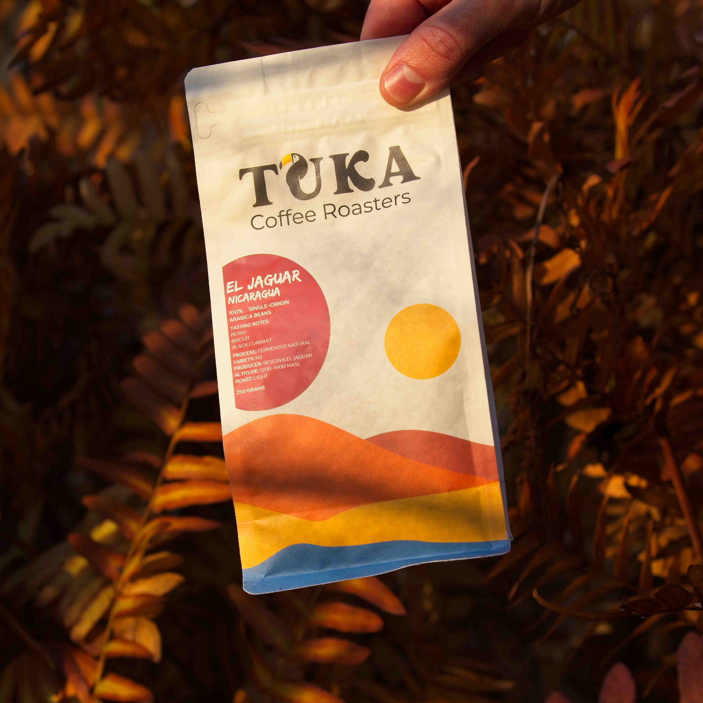 El Jaguar – Espresso Roast Coffee Beans Nicaragua