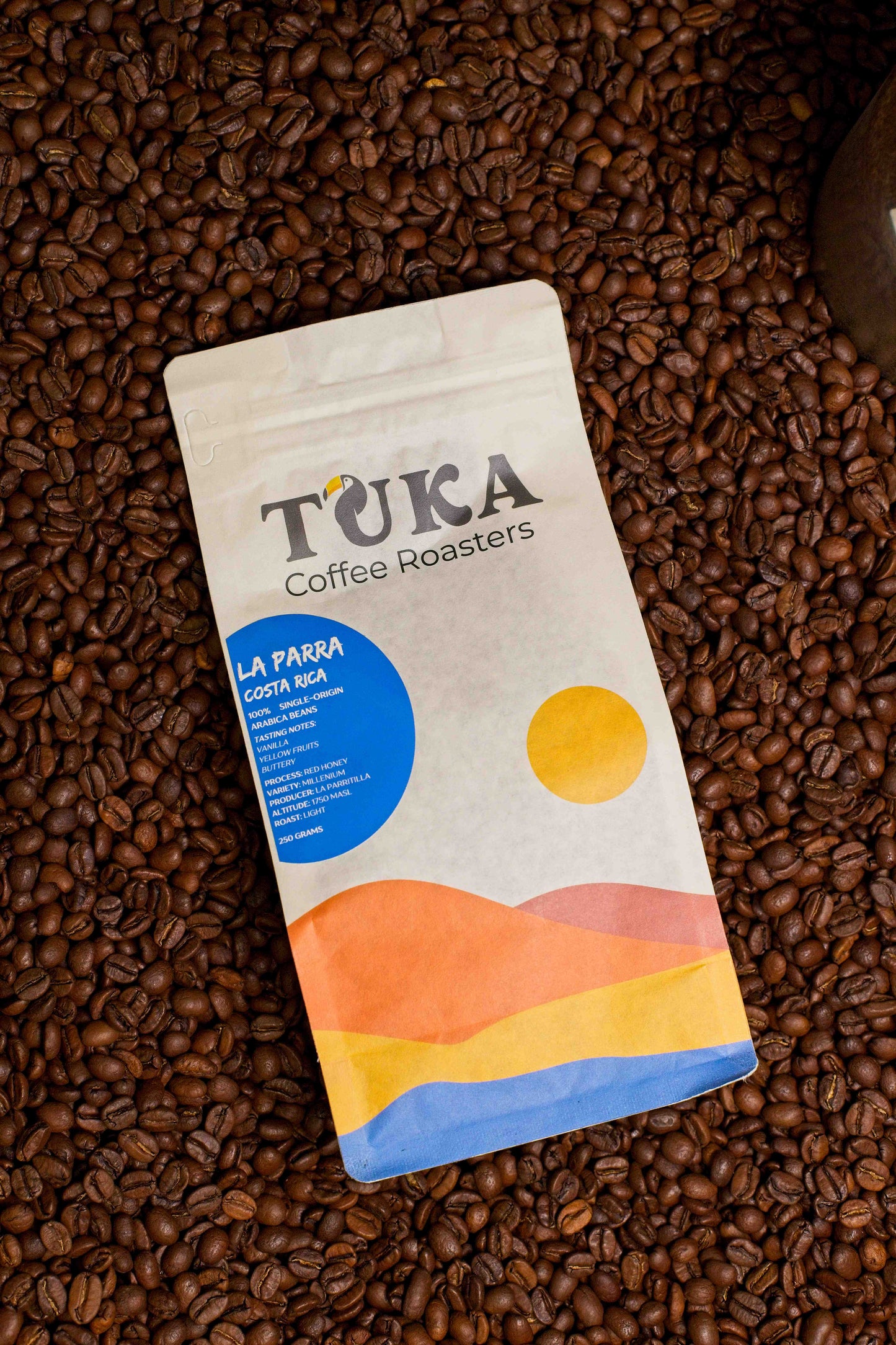 La Parra – Medium Light Roast Koffiebonen Costa Rica