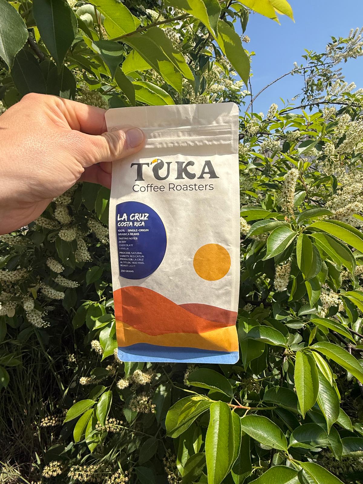 La Cruz – Medium Light Roast koffiebonen Costa Rica